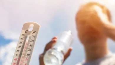 عاجل | كيف تؤثر موجات الحر في القلب والكلى والدماغ؟