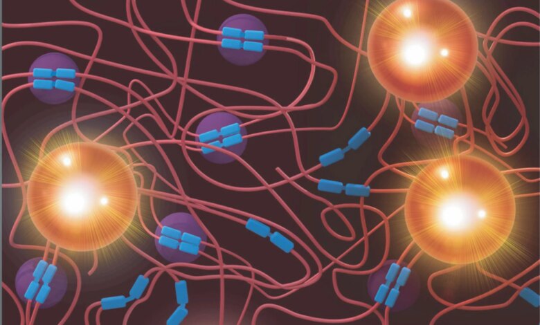Tetrahydroxy Deoxybenzoin Triazole Filler Illustration