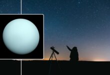 inset image of Uranus up close in the background is a person with a telescope pointing up at the sky.
