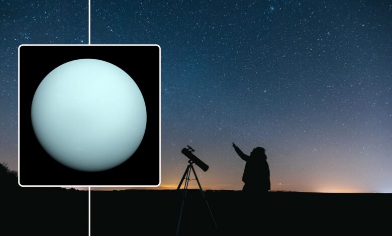 inset image of Uranus up close in the background is a person with a telescope pointing up at the sky.