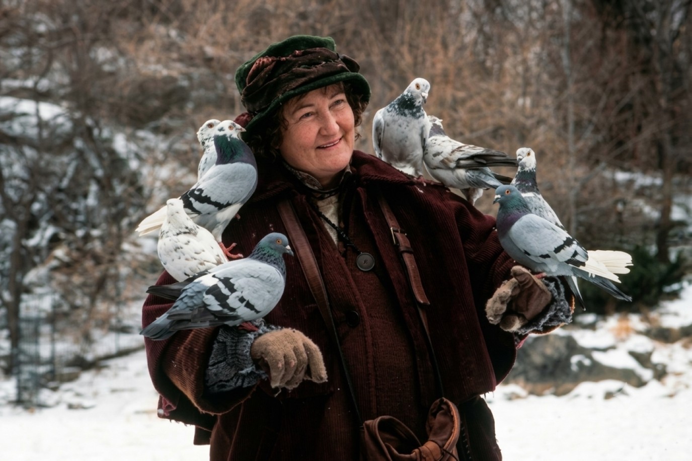 عاجل | وفاة بريندا فريكر.. نجمة «Home Alone 2» وحائزة الأوسكار عن عمر 81 عامًا - صورة مميزة صورة مميزة: عاجل | وفاة بريندا فريكر.. نجمة «Home Alone 2» وحائزة الأوسكار عن عمر 81 عامًا