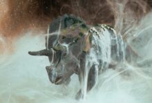 Did fungi give mammals an evolutionary edge after the dinosaur-killing asteroid hit? New evidence revives a provocative hypothesis
