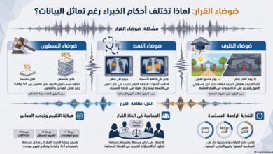 ضوضاء القرار