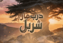 "معًا نُكمل القسم الجنوبي من درب مار شربل"... شاركونا الليلة في تيليتون خاص لجمع التبرعات عبر الـLBCI
