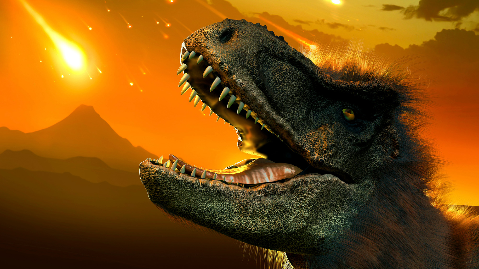 Did fungi give mammals an evolutionary edge after the dinosaur killing