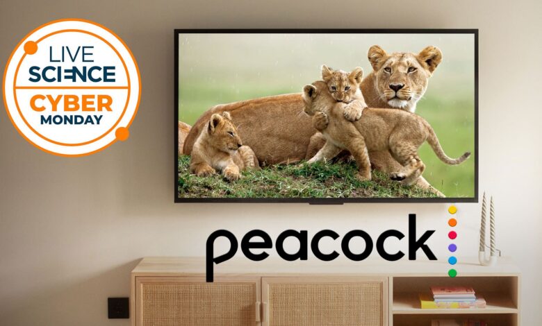 احصل على توفير كبير في صفقة البث المباشر لعطلة نهاية الأسبوع في Peacock Memorial Day وادفع 24.99 دولارًا فقط لمدة 12 شهرًا