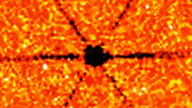 العلماء يراقبون موجات الحرارة الكمومية في درجة حرارة الغرفة لأول مرة: ScienceAlert
