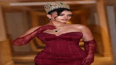 بعد تتويجها بـ "أفضل زي وطني"..10صور ترصد أجمل إطلالات منار الصعيدي