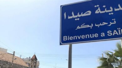 بلدية صيدا أعلنت عن جدول مواعيد المرحلة الرابعة من رشّ المبيدات