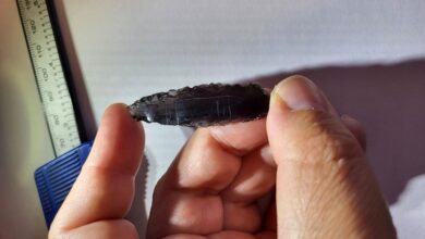 تم العثور على 11 رأس سهام آخر من العصر الحجري الحديث، لا يوجد مثلها في أي مكان في العالم
