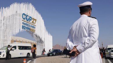 رحلة علاج تتحول إلى فاجعة.. مقتل سيدة يمنية وابنتها في مصر | أخبار