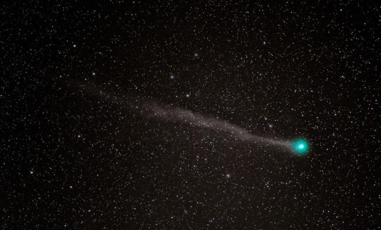 سقط مذنب "عاري" بالخطأ في إطار تلسكوب سوبارو