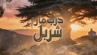 عاجل | "معًا نُكمل القسم الجنوبي من درب مار شربل"… شاركونا الليلة في تيليتون خاص لجمع التبرعات عبر الـLBCI