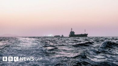 عاجل | هل تتسبّب السفن العالقة في مضيق هرمز بـ”غزو بيولوجي” عالمي؟