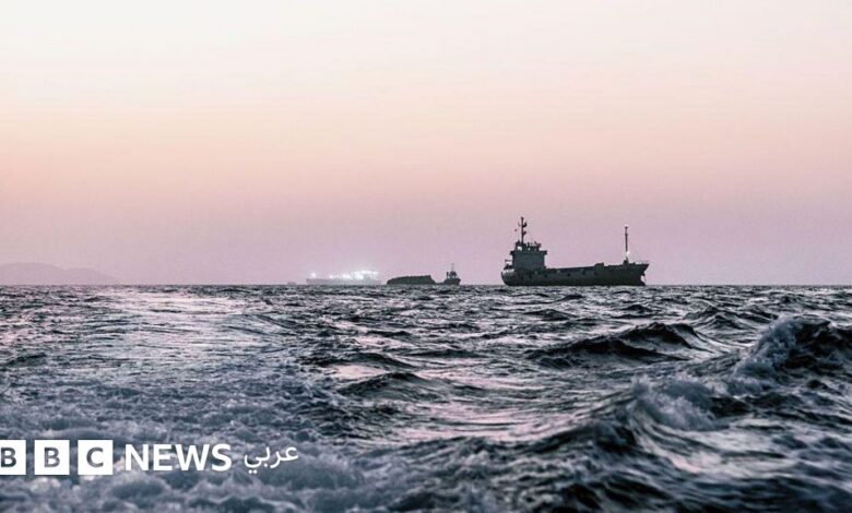 عاجل | هل تتسبّب السفن العالقة في مضيق هرمز بـ”غزو بيولوجي” عالمي؟