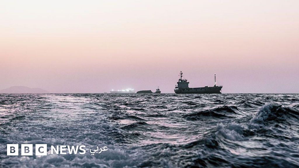 عاجل | هل تتسبّب السفن العالقة في مضيق هرمز بـ”غزو بيولوجي” عالمي؟ - صورة مميزة عاجل | هل تتسبّب السفن العالقة في مضيق هرمز بـ”غزو بيولوجي” عالمي؟