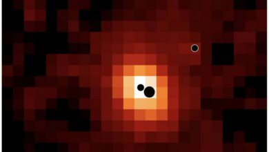 A pixelated reddish image. There are three black circles showing where the three black holes are located.
