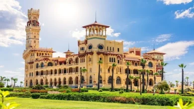 قصة مكان لا يشبه غيره.. كيف أصبحت المنتزه أشهر معالم الإسكندرية؟