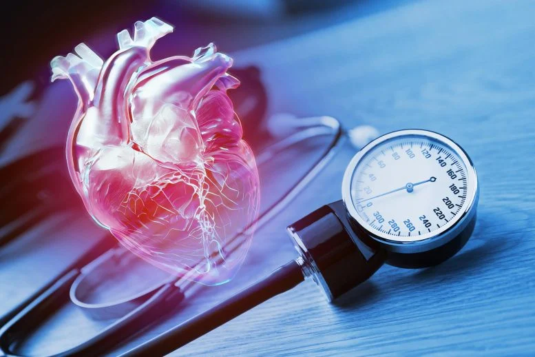 اكتشف العلماء هدف علاج محتمل جديد لارتفاع ضغط الدم