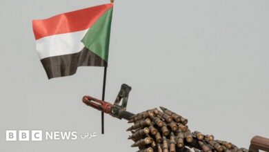 الحرب في السودان: القوات الحكومية توسّع نطاق سيطرتها على حساب الدعم السريع في كردفان