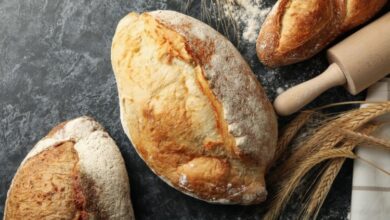 خبز السيلمونينا الإيطالي