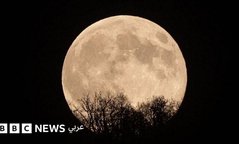 خمس ظواهر كونية ليلية عليك ترقبها هذا الخريف