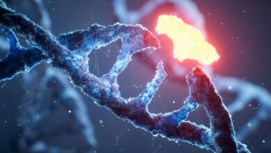 خمسة أمراض مختلفة جدًا قد تشترك في رابط بيولوجي مخفي