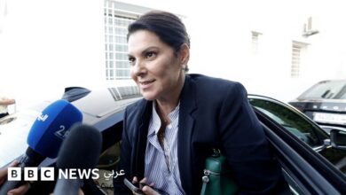 فاطمة الزهراء المنصوري: ماذا نعرف عن أول امرأة تترأس الحكومة بالمغرب؟