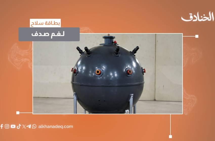 لغم صدف البحري - صورة مميزة صورة مميزة: لغم صدف البحري
