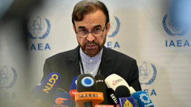 نجفي: على النمسا اتخاذ جميع الإجراءات اللازمة لتسهيل دخول ممثلي إيران