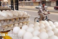 أزمة البيض في العراق: هل يخفض الاستيراد الأسعار أم يزيد الضغط على المنتج المحلي؟