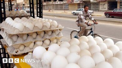 أزمة البيض في العراق: هل يخفض الاستيراد الأسعار أم يزيد الضغط على المنتج المحلي؟