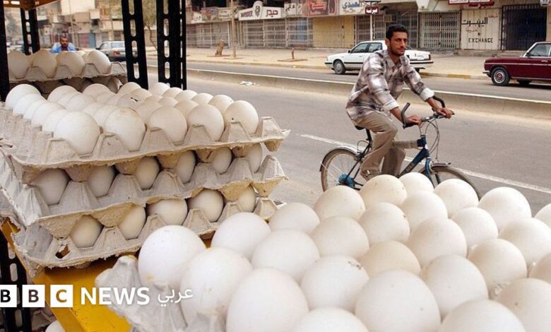 أزمة البيض في العراق: هل يخفض الاستيراد الأسعار أم يزيد الضغط على المنتج المحلي؟