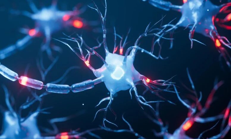 إدارة الغذاء والدواء توافق على أول دواء لعلاج مرض ألكسندر بعد 30 عامًا من البحث