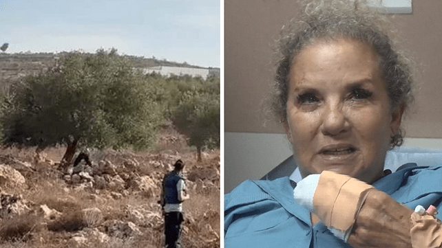 السفير الأميركي: اعتداء المستوطنين على مصورة واشنطن بوست عمل إرهابي ارتكبه جبناء