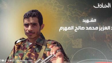 الشهيد عبدالعزيز المهرم: من رموز معجزة الدفاع الجوي اليمني