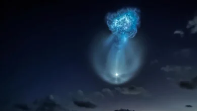تطلق SpaceX سفينة شحن إلى المحطة الفضائية في رحلة مذهلة قبل الفجر