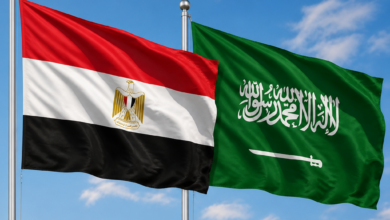 شاعر مصري يثير الجدل بوضعه ممتلكاته تحت تصرف السفارة السعودية