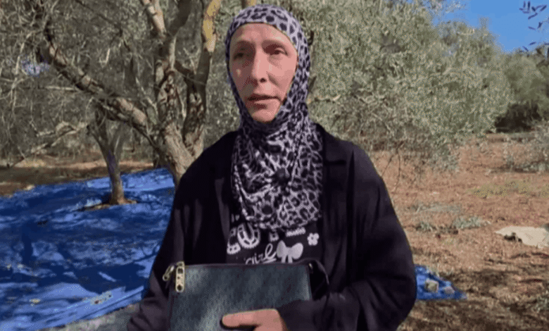 في ميفدون… موسم الزيتون تحت القصف وأهالي البلدة يتمسّكون بأرضهم -…