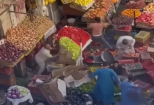 مشاهد صادمة.. فوضى بأحد أسواق مصر بعد مشاجرة عنيفة (فيديو)
