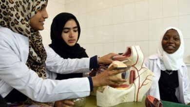 من مختلف الدول إلى الجامعات الإيرانية.. إقبال متواصل رغم الحرب