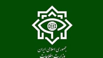 وزارة الأمن الإيرانية: تفكيك 4 شبكات للتخريب في الشوارع واعتقال 31 عنصراً