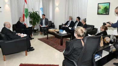 وزير المالية بحث مع وفد من الاتحاد الأوروبي ومنظمة التعاون الاقتصادي والتنمية مسار إصلاح إدارة الموازنة العامة