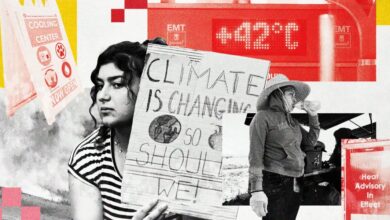 Climate change will harm our health. Here’s what could protect us.
