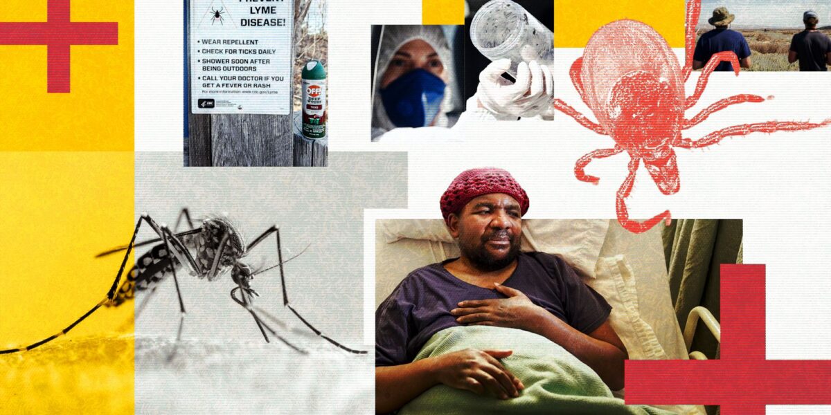 Infectious diseases will seed new ground as the planet warms — here’s where they’ll spread - صورة مميزة Infectious diseases will seed new ground as the planet warms — here’s where they’ll spread