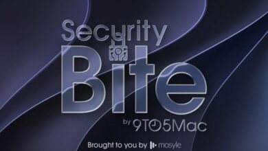 Security Bite Podcast: العصر الجديد لصيد الأخطاء مع Ananay Arora من OpenHack
