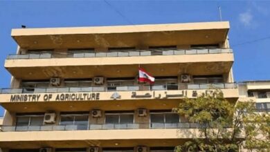 الزراعة تفتح باب اعتماد شركات الرقابة على المنتجات الزراعية المعدّة…