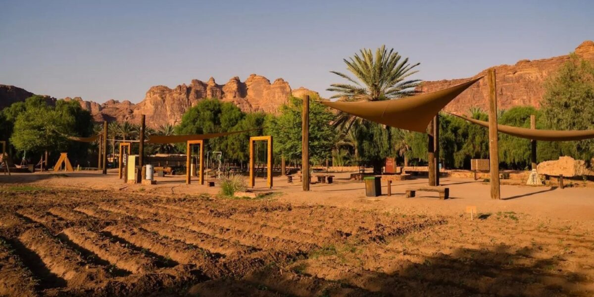 العُلا تفوز بالجائزة الذهبية في السياحة المسؤولة لعام 2026 - صورة مميزة العُلا تفوز بالجائزة الذهبية في السياحة المسؤولة لعام 2026