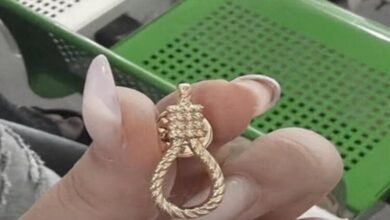 “المشنقة” تصل إلى المدارس.. ممثل حزب “بن غفير” يوزع دبابيس تحرض على قتل الفلسطينيين