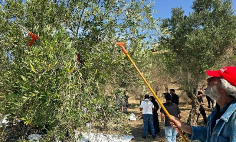 المناضل جورج عبدالله يشارك في مبادرة قطاف الزيتون في جبشيت تحت شعار «أرض واحدة، وشعب واحد»